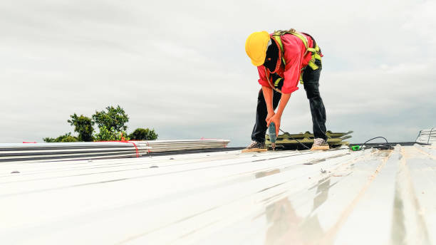 Best Roof Moss and Algae Removal  in Canal Fulton, OH